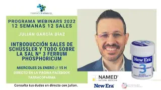 Todo Sobre la Sal de Schüssler nº3 Ferrum Phosphoricum