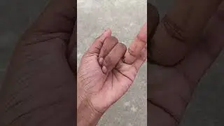 Азиатские жуки, которых вы никогда не видели 🐜🕷️🐞 #любыеуникальныеживотные #природа #насекомые