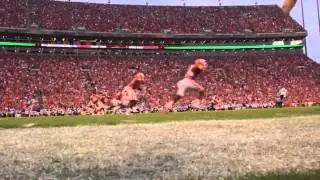 Clemson Football || Here we come