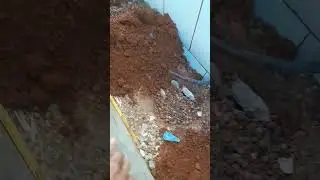 O Pedreiro falando mal do outro #pedreiros #obra #reforma #fy #contru&ccedil;&atilde;ocivil #shostr