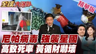 印度再爆尼帕病毒新病例 致死率高達75% 疫情恐擴大新加坡成疫情警示區 黃循財嚇壞 下令新加坡全面嚴防 【#全球大爆卦】精華版 20260129@全球大視野Global_Vision
