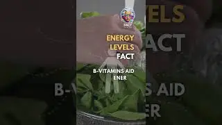 Energy Levels Fact: The Power of B-Vitamins Unleashed! #BVitamins #EnergyMetabolism #Vitality