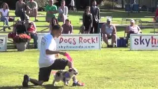 2013 Skyhoundz WF - Micro - Jack Fahle and Spice