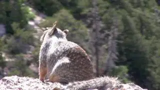 Vacation: Grand Canyon Lodge North Rim - Part 4