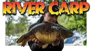 RIVER CARP FISHING!