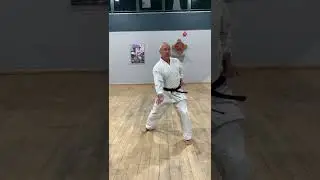 SHUTO UCHI - SIDE HAND STRIKE. This is designed to be a training aid to Zan Shin Kai Karate students