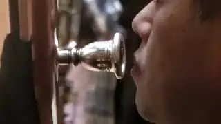 Shin Ogino - Tuba