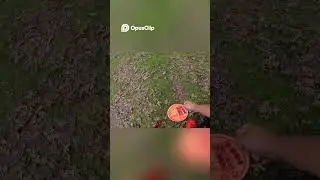 Golf Tips Master Those Tricky Tree Shots at hole 10 in MGZ #discgolf #frisbeegolf#shorts #subscribe