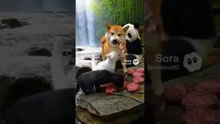 ステーキを食べるパンダ 36 #ai動物