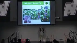 What if we all grew food? | Anett Zlotorzycki | TEDxNEIU