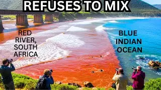 The Kaaimans River Mystery Explained: Where Red Water Refuses to Mix with Blue Ocean | South Africa