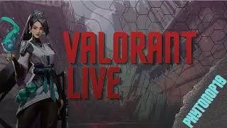 Valorant Live / FaceCam /  Road to Plastic 1