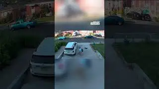 Man vs  Uninvited Turkey on the Driveway