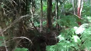 Road Trip - UK Bigfoot Research - Fir Bend Teepee