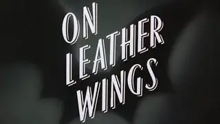 THE BATMAN ANIMATED SERIER _ON LEATHER WINGS
