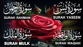 Surah Yasin ❤️ (Makki), Rahman, Waqiah & Mulk | Ep 318 | Daily Quran Recitation & Blessings