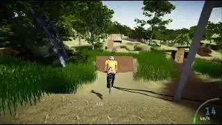 Descenders