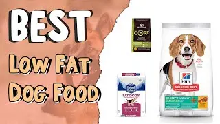 Best Low Fat Dog Food  | Dog Food for Weight Loss | What Is Considered Low-fat in Dog Food?