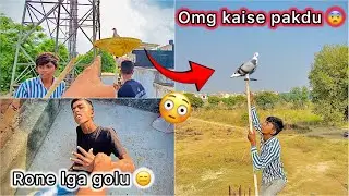 Naye kabutar urr Gya 😑 || Try to catch new pigeon 🕊️