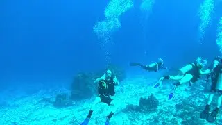 Diving Cozumel Mexico: Punta Delila (68 feet)