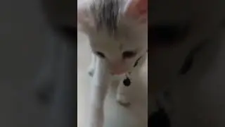 ATTENTION please!