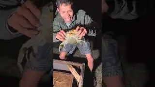 Primitive life, Simple life, Food Life, EP147,#fypage,#catchingfish, #fishing,#handfishing,