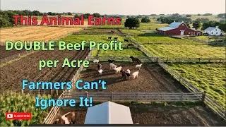 Farmers Make DOUBLE Profit with THIS Animal