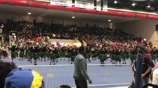 Thee Great Reveal 2019: Gamma Rho Chapter of Alpha Kappa Alpha Sorority, Inc Part 2