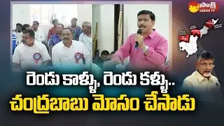 Professor Rajasekhar Fire on Chandrababu Over AP Bifurcation | AP 3 Capitals | Sakshi TV