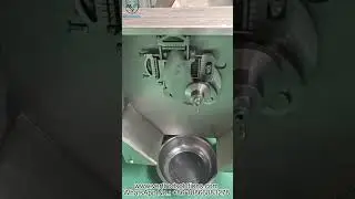 VERFOODSOLUTIONS 10&times;10&times;10 mm Frozen Fresh Meat Cube Dicing Machine Test for Canada Customer