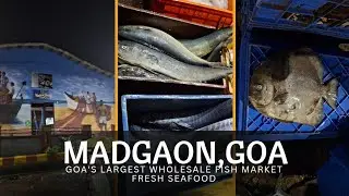 MADGAON GOA : GOA'S LARGEST WHOLESALE FISH MARKET FRESH SEAFOOD#fish #viral #trending #youtube #diet