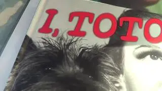 TOTO beauty supply store 11 17 2017 Altadena Cal