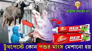 দেখুন কিভাবে তৈরি করা হয় Dabur Red Toothpaste || Factory Making Process Of Dabur Red Toothpaste