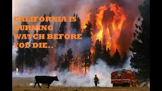 2020 California Wildfire | USA | Disaster | Wildfire
