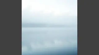 Wings Drift Through Light