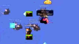 Thesbp transformice #racing