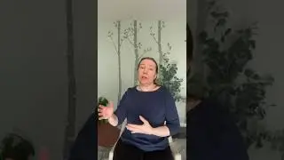 Autistic self-care examples. #actuallyautistic #adhdselfimprovement #audhd #unmaskingautism  ￼
