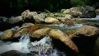 Flow of Water, Atmosphere of Water Flowing Soft & Calm the mind (study, focus,meditation,asmr)
