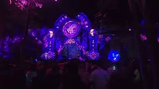 Little Forest Festival 2025 Raw Clip Flower Power