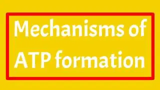 Mechanisms of ATP formation || Substrate Level Phosphorylation & oxidative phosphorylation |Examples