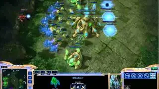 EGiNcontroL (P) vs NickMi (Z)