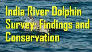 River Dolphin Survey in India