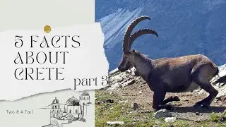 5 Things You Can Only Find in Crete