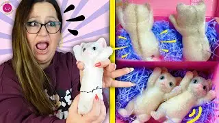 🐱¡¡GATITO Squishy SALE MAAAAL!! 😰 Haciendo Taba Taba Squishies Cat 🐈