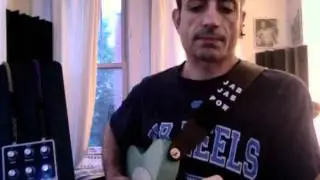 Earthquaker Devices Disaster Transport delay pedal review and demo