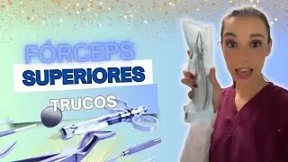 FORMA FÁCIL DE IDENTIFICAR FÓRCEPS DENTALES SUPERIORES EN CLÍNICA DENTAL