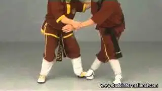 Weng Chun Kung Fu Vol2 Andreas Hoffman