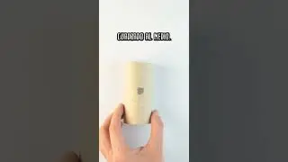 Pipa con papel higi&eacute;nico