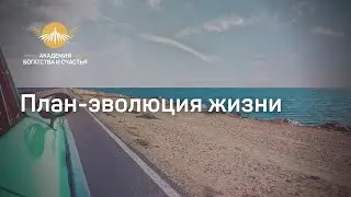 План-эволюция жизни