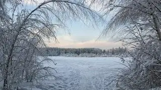 Немного из жизни за январь... Что. 1